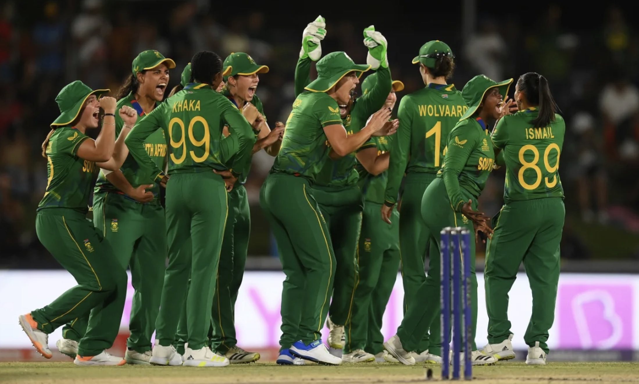 Cricket South Africa  Proteas, Womens Proteas, Domestic