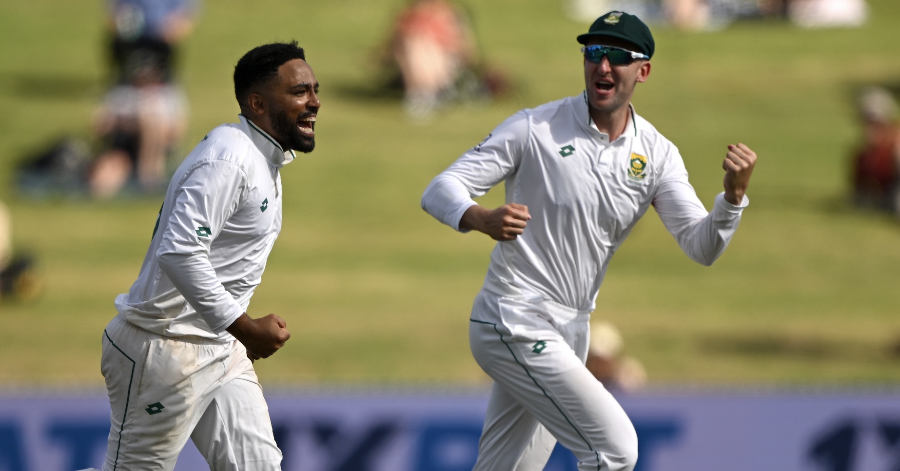 Great Dane gives Proteas bite